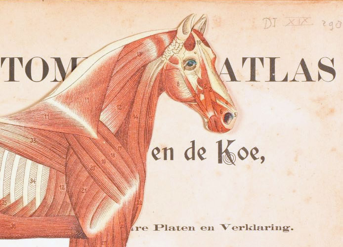 Afbeelding van een gedrukte prent met daaronder de button naar de deelcollectie Moderne gedrukte werken vanaf 1801